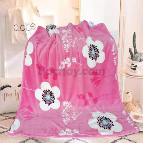 Warm and Fluffy Double Layer Coral Velvet Blanket